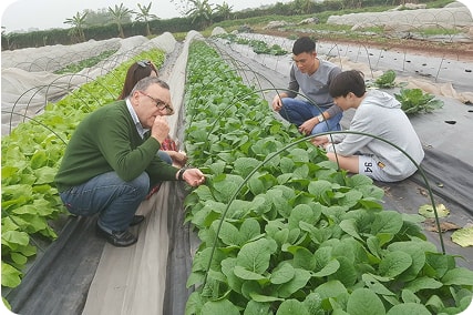 GENKI FARMで農業体験無農薬有機野菜の販売01