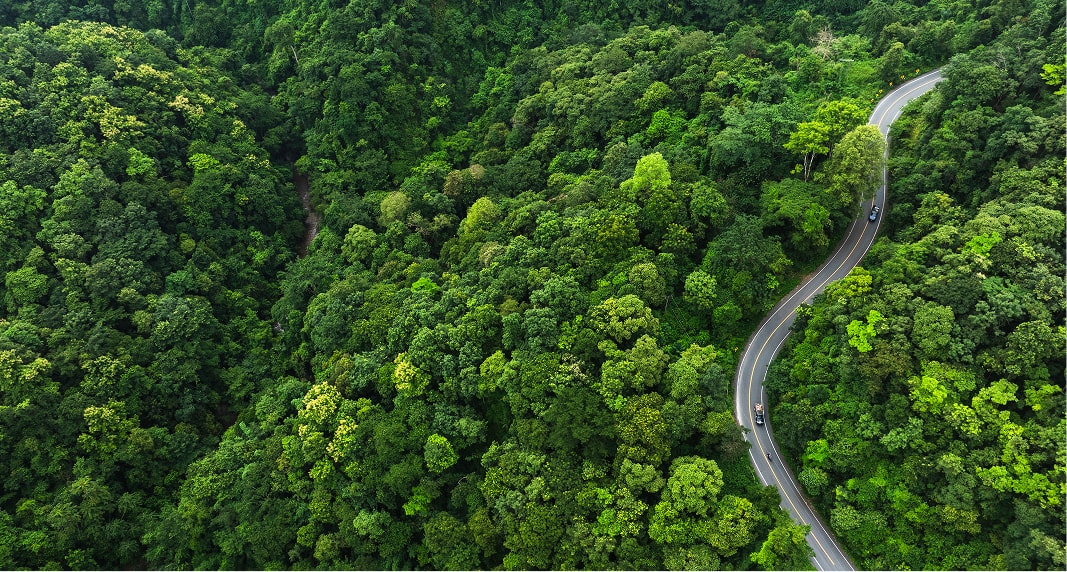 Environmental Policy

